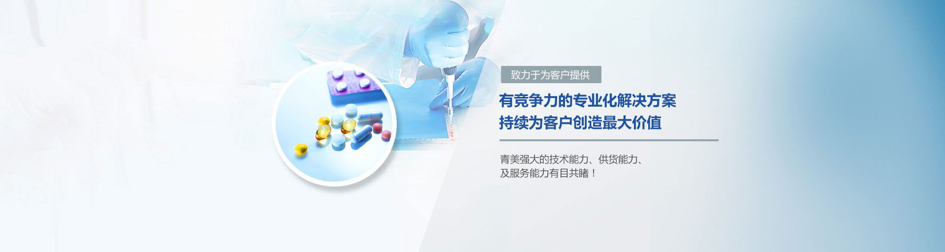 有竞争力的专业化解决方案  持续为客户创造最大价值